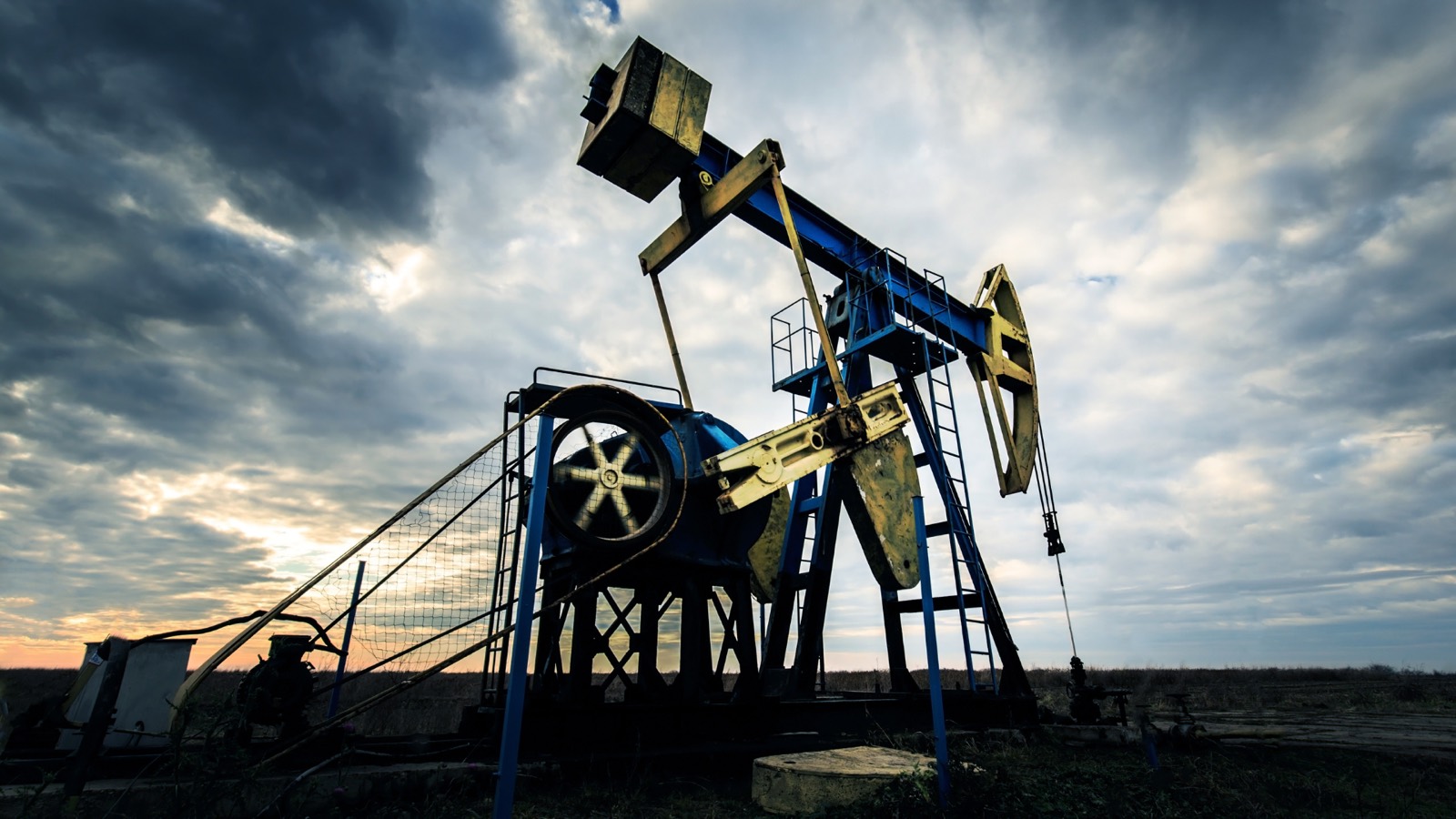 Basin-Targeted Seismic Foundation Models: Why Region-Specific Pretraining Wins